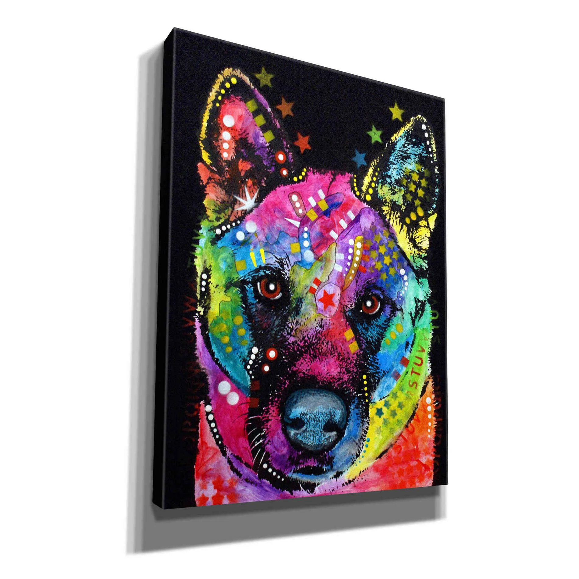 'Akita 2' by Dean Russo, Giclee Canvas Wall Art