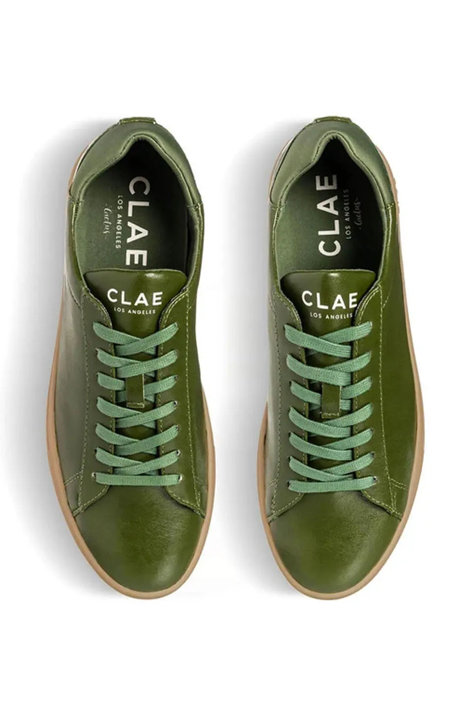 CLAE Bradley Sneaker In Green Cactus Leather Gum