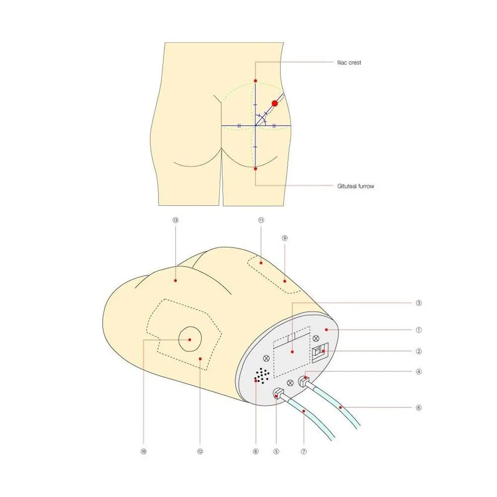 Koken Gluteal Intramuscular Injection Model