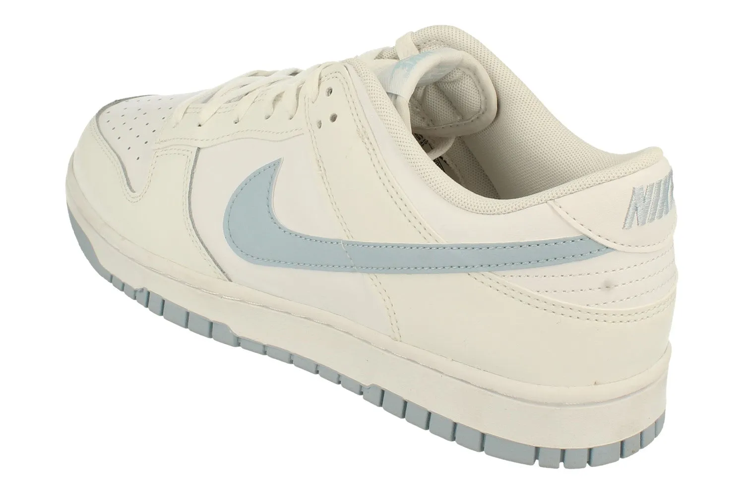 Nike Dunk Low Retro Mens Trainers Dv0831 109