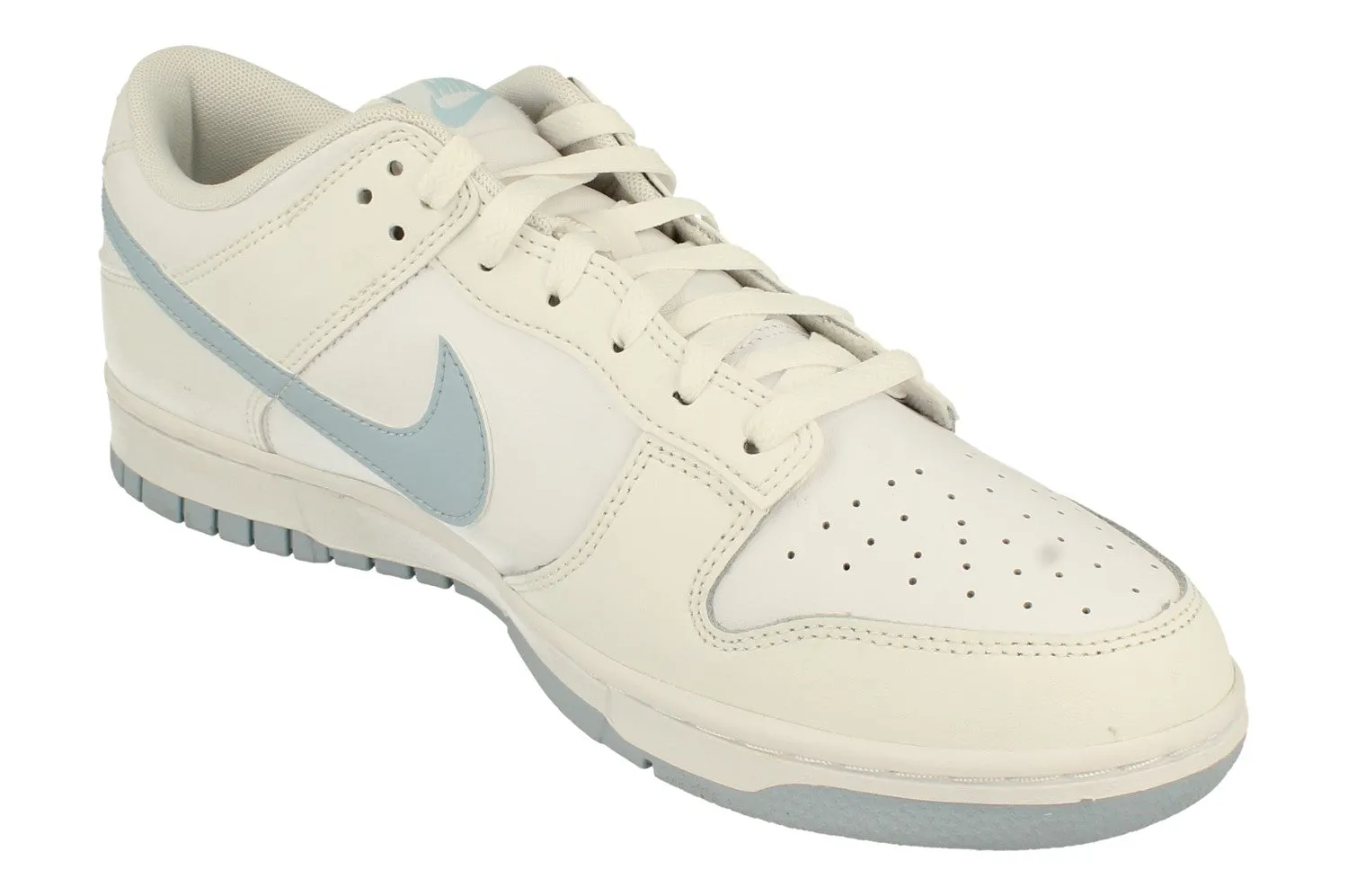 Nike Dunk Low Retro Mens Trainers Dv0831 109