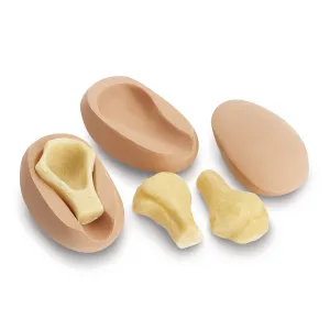 Replacement Pads and Bones for Humerus Intraosseous Trainer