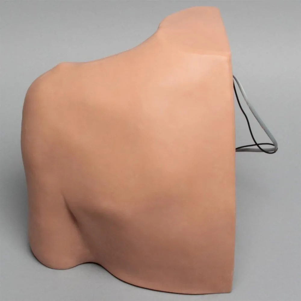 Shoulder Injection Model