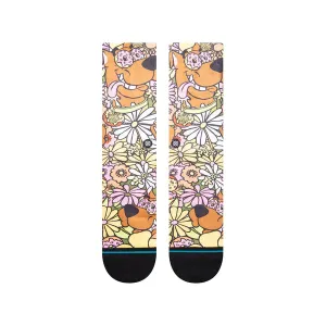 Stance Snakin Scoobs - Multi